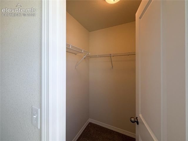 8211 Henzlee Place, Falcon, CO 80831