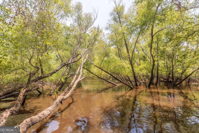 1656 T O Jones Road, Reidsville, GA 30453