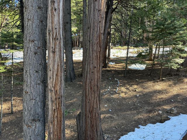 392 Boards Crossing Rd, Arnold, CA 95223