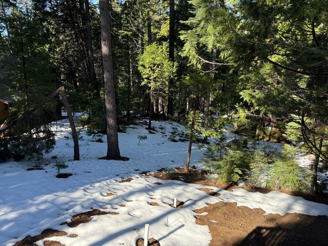 392 Boards Crossing Rd, Arnold, CA 95223