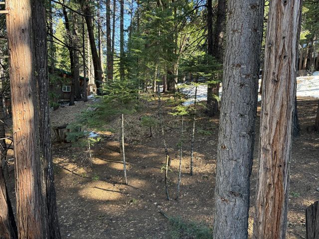 392 Boards Crossing Rd, Arnold, CA 95223