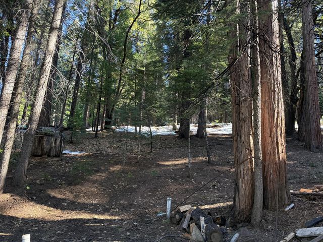 392 Boards Crossing Rd, Arnold, CA 95223