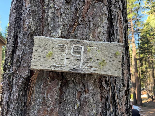 392 Boards Crossing Rd, Arnold, CA 95223