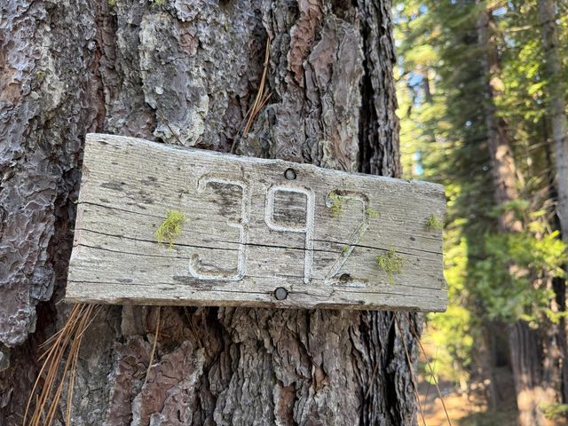 392 Boards Crossing Rd, Arnold, CA 95223