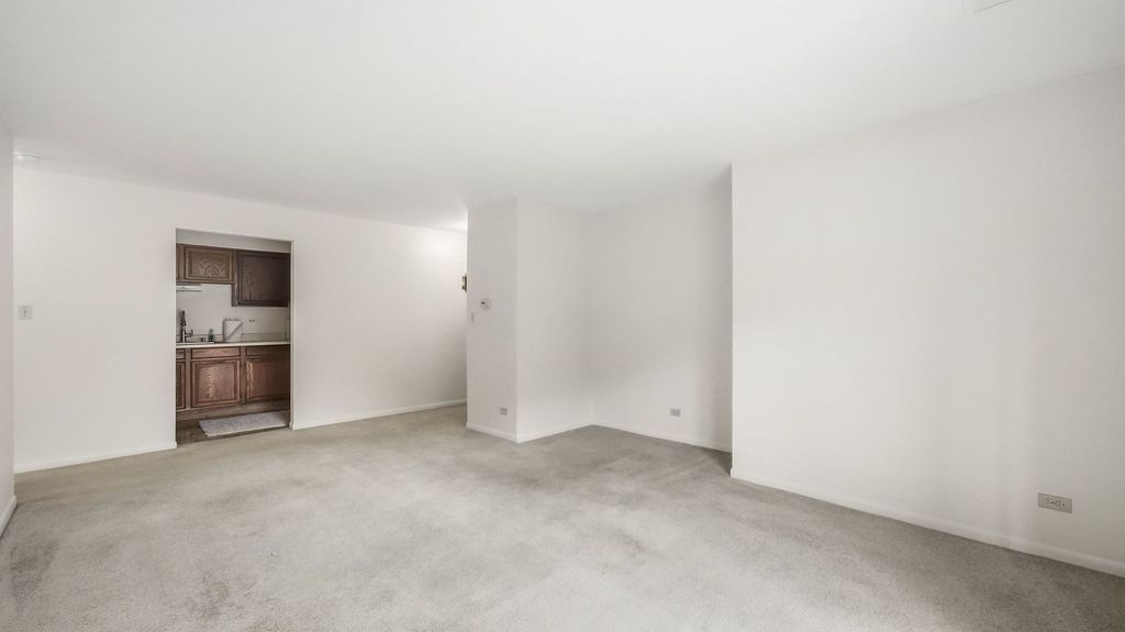 705 W Central Road B1, Mount Prospect, IL 60056 — photo 4