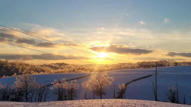 486 Old State Road, Wellington, KY 40387