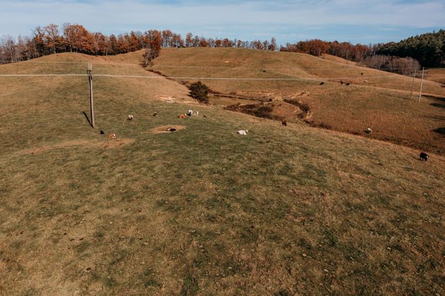 486 Old State Road, Wellington, KY 40387