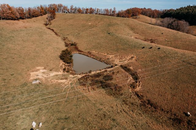 486 Old State Road, Wellington, KY 40387