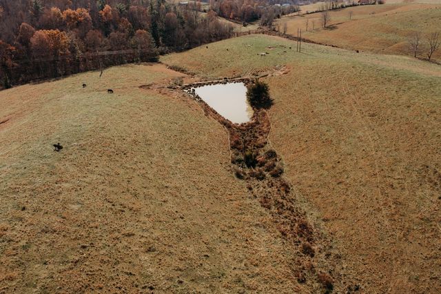 486 Old State Road, Wellington, KY 40387