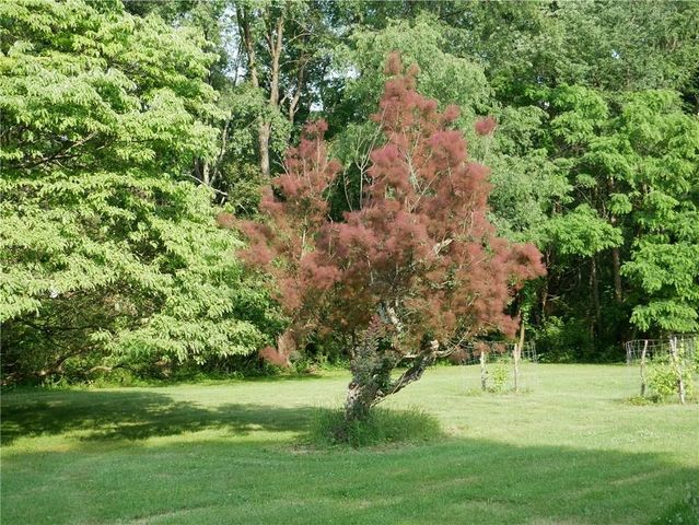 143 Gracie Lane, Adams Twp, PA 16046