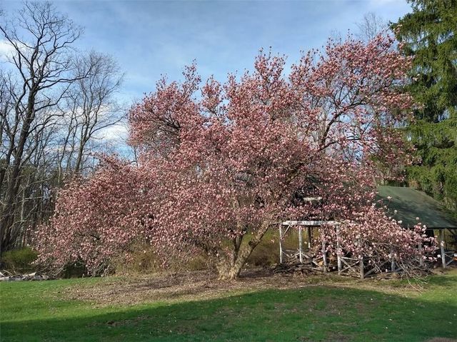 143 Gracie Lane, Adams Twp, PA 16046
