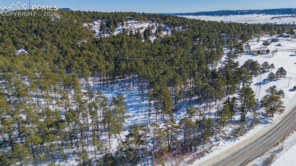 14420 S Perry Park Road, Larkspur, CO 80118 — photo 2