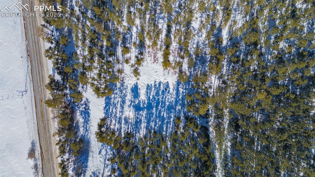 14420 S Perry Park Road, Larkspur, CO 80118 — photo 5