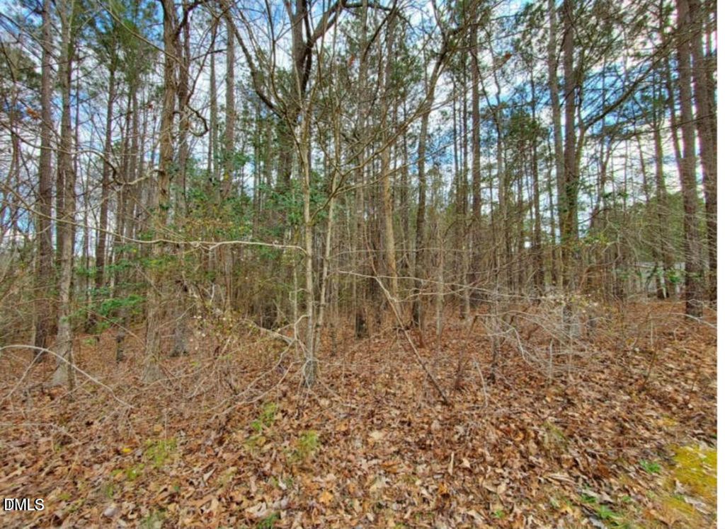 195 Owl Drive, Youngsville, NC 27596