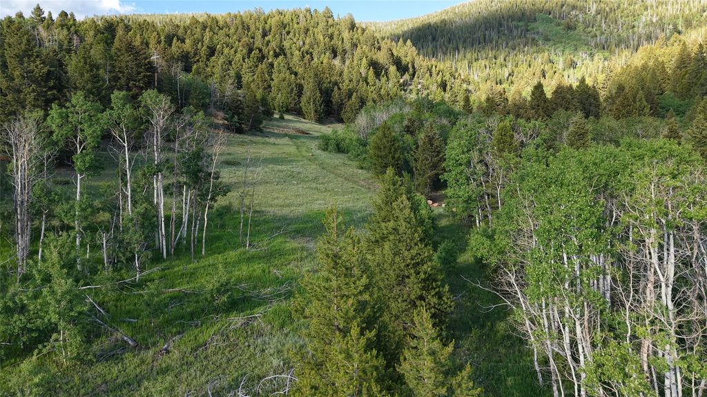 TBD XL Heights Road, Butte, MT 59701 photo 2