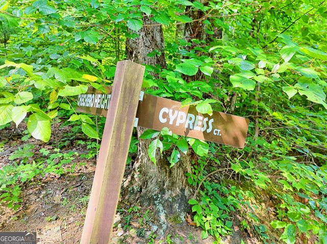 0 King Mountain Drive, Clayton, GA 30525