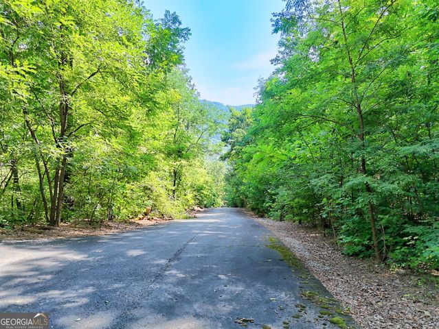 0 King Mountain Drive, Clayton, GA 30525