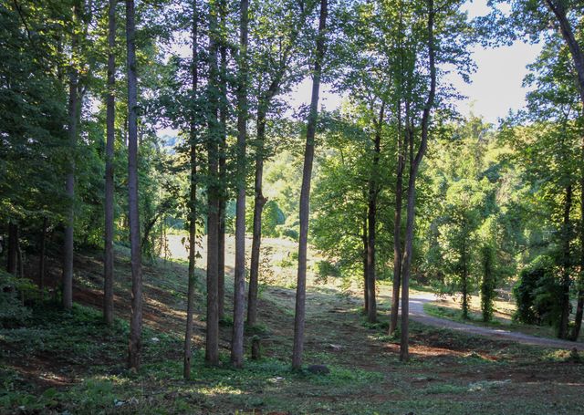 1325 Webb Mountain RD, Boones Mill, VA 24065