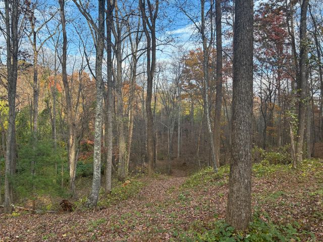 1325 Webb Mountain RD, Boones Mill, VA 24065