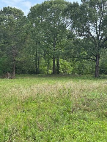6370 Fm 1374 Road, New Waverly, TX 77358