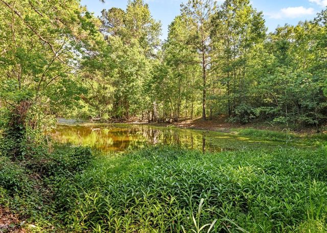 6370 Fm 1374 Road, New Waverly, TX 77358
