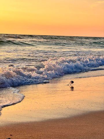 17735 Front Beach Road UNIT 4, Panama City Beach, FL 32413