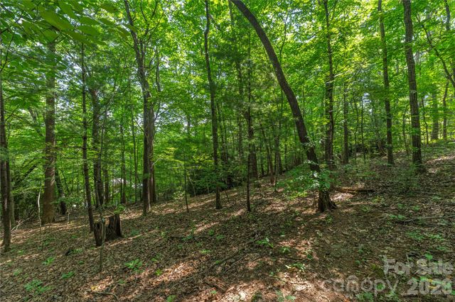 99999 Claru Ridge, Fletcher, NC 28732