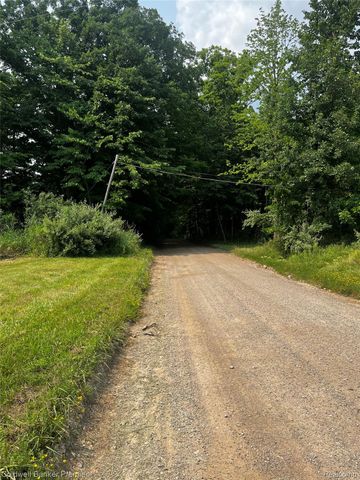 3975 Hagerman Road, Addison Township, MI 48367