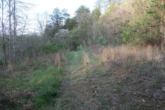 3602 Wagersville Road, Irvine, KY 40336
