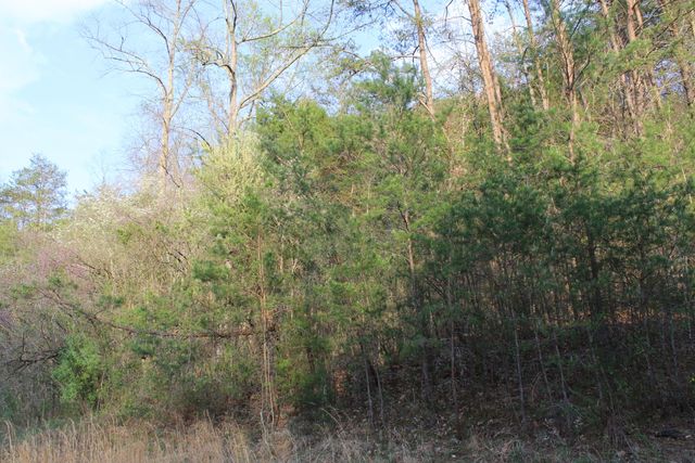 3602 Wagersville Road, Irvine, KY 40336
