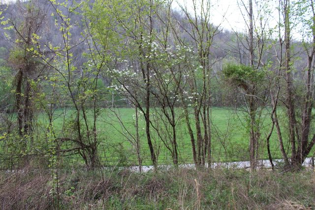 3602 Wagersville Road, Irvine, KY 40336