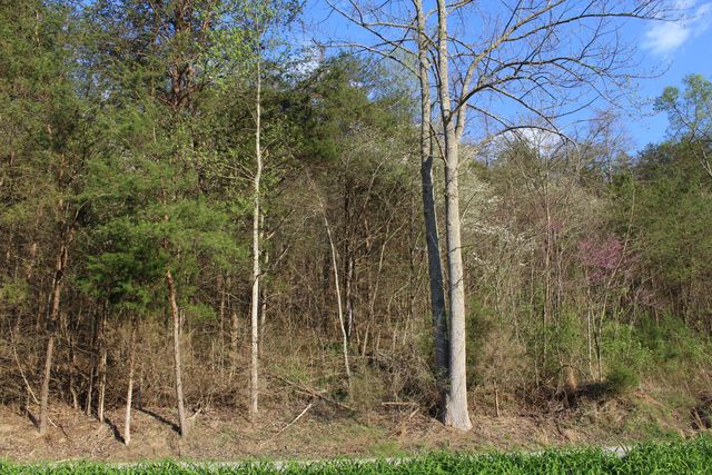3602 Wagersville Road, Irvine, KY 40336