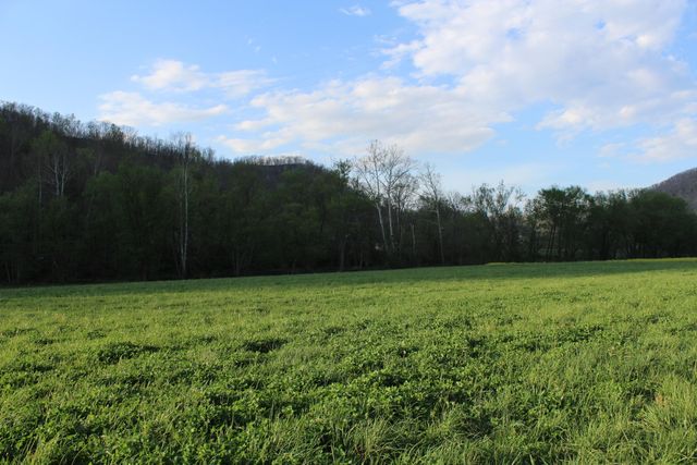 3602 Wagersville Road, Irvine, KY 40336