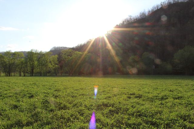 3602 Wagersville Road, Irvine, KY 40336