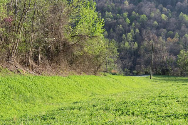 3602 Wagersville Road, Irvine, KY 40336