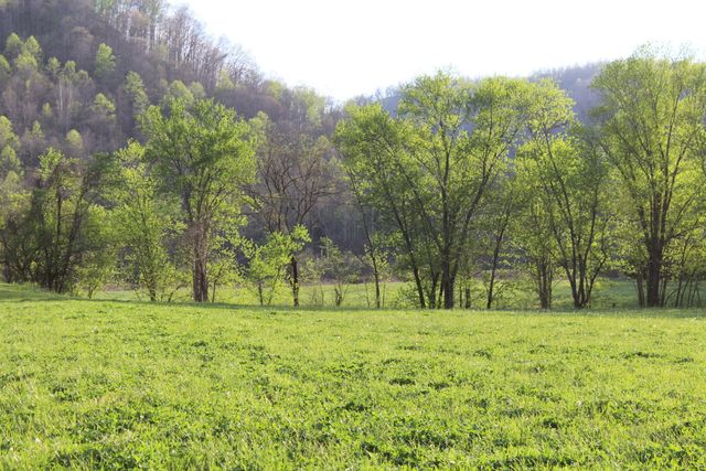 3602 Wagersville Road, Irvine, KY 40336