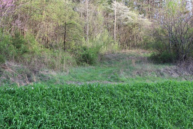 3602 Wagersville Road, Irvine, KY 40336