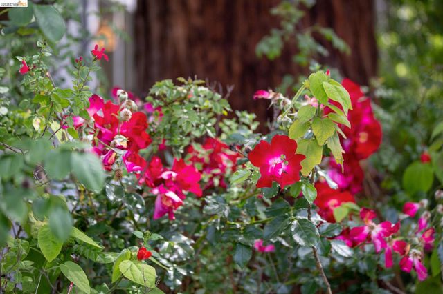 1825 Highland Pl 1827, Berkeley, CA 94709