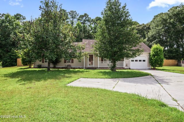 118 Goldie Lane, Beulaville, NC 28518
