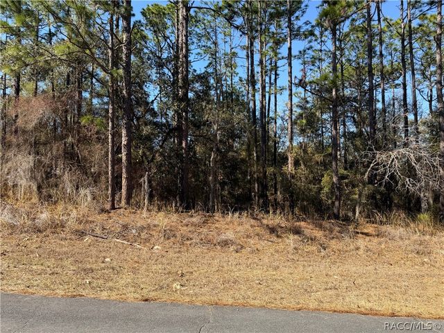 8056 N Pocono Drive, Citrus Springs, FL 34434