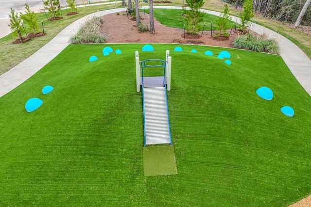 25001 Aconite Lane, Montgomery, TX 77316