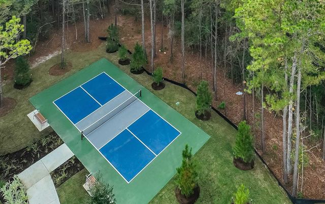 25001 Aconite Lane, Montgomery, TX 77316