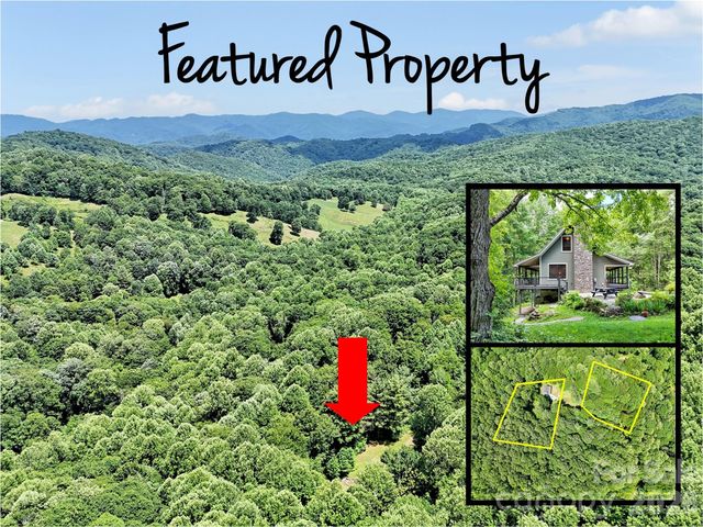 85 Lady Slipper Trail, Hot Springs, NC 28743