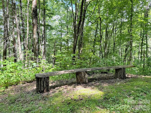 85 Lady Slipper Trail, Hot Springs, NC 28743
