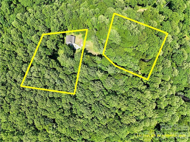 85 Lady Slipper Trail, Hot Springs, NC 28743