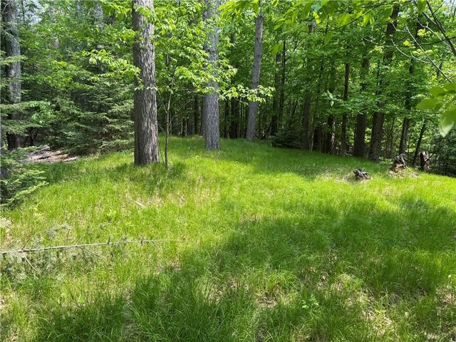 W15014 E Silver Creek Road, Birnamwood, WI 54414