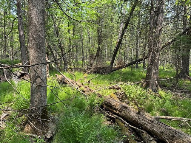 W15014 E Silver Creek Road, Birnamwood, WI 54414