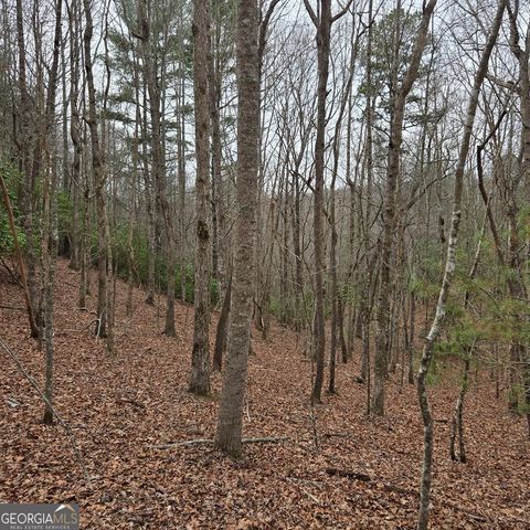 8.5 Blue Berry Ridge, Morganton, GA 30560