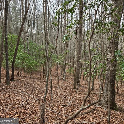 8.5 Blue Berry Ridge, Morganton, GA 30560