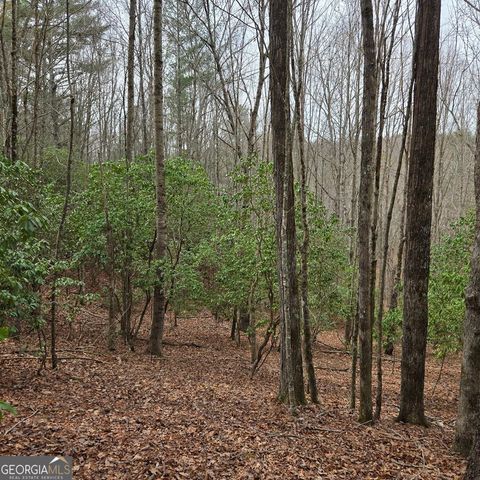 8.5 Blue Berry Ridge, Morganton, GA 30560